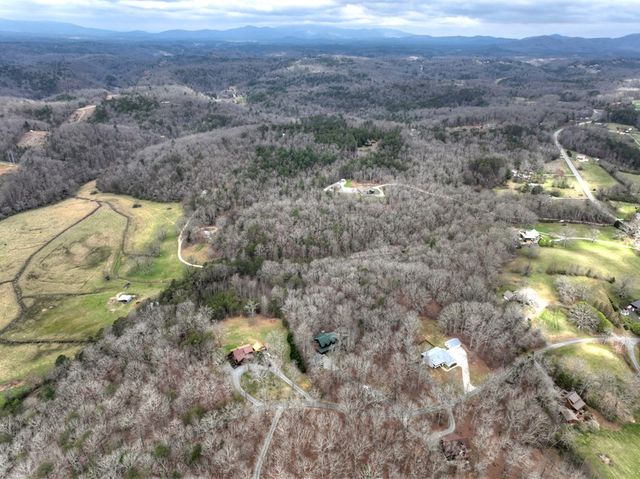 260 Bailey Farm Drive, Mineral Bluff, GA 30559