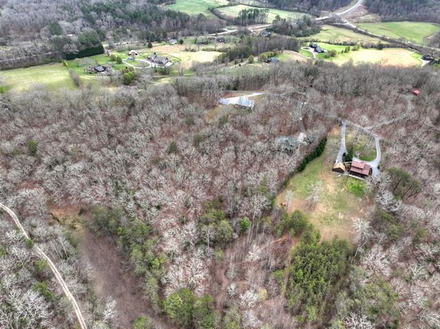 260 Bailey Farm Drive, Mineral Bluff, GA 30559