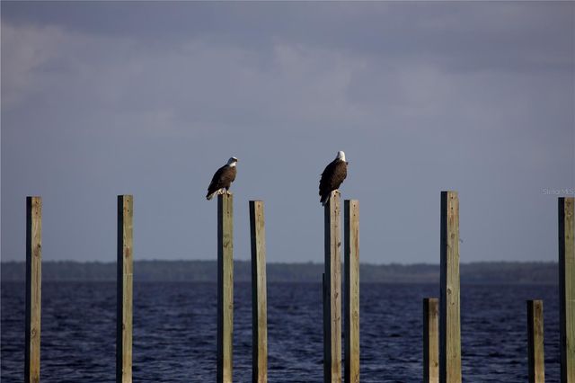 2518 FORT LANE ROAD, Geneva, FL 32732