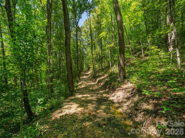 433 Rockmont Road, Waynesville, NC 28785