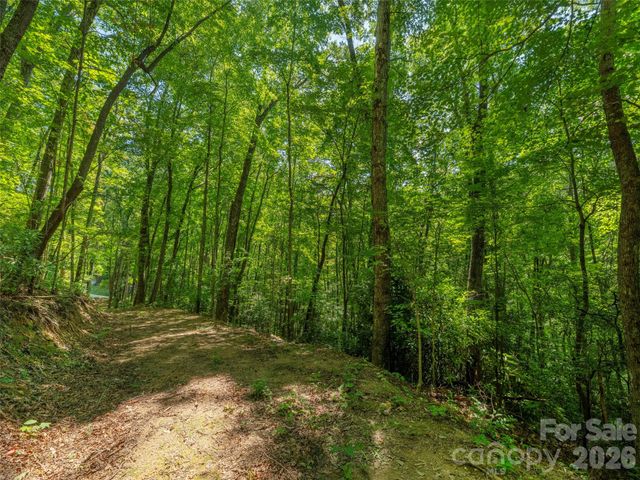 433 Rockmont Road, Waynesville, NC 28785