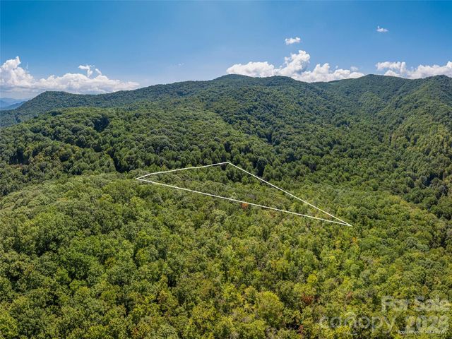 433 Rockmont Road, Waynesville, NC 28785