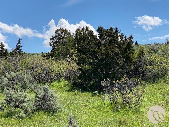 40.445 Acres Sage Wood Rd, Billings, MT 59101