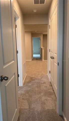 1138 CREEK VALLEY COURT, Brandon, FL 33511