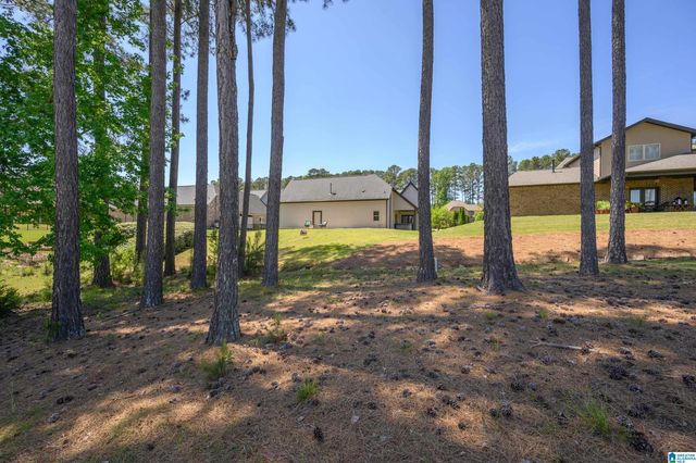 312 KILKERRAN LANE, Pelham, AL 35124