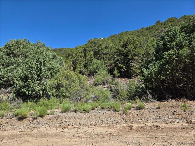 Lot 5046 Joy Road, Fort Garland, CO 81133