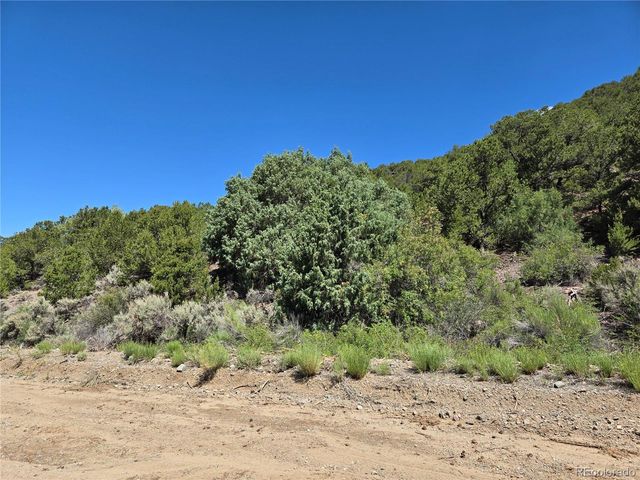 Lot 5046 Joy Road, Fort Garland, CO 81133