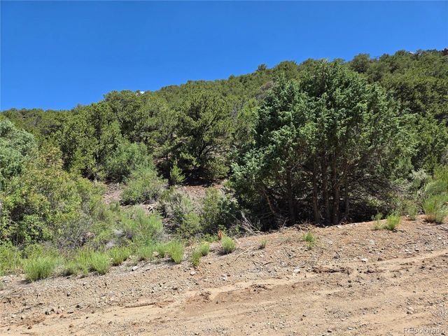 Lot 5046 Joy Road, Fort Garland, CO 81133