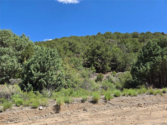 Lot 5046 Joy Road, Fort Garland, CO 81133