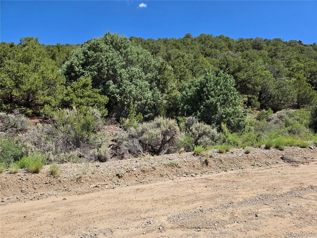 Lot 5046 Joy Road, Fort Garland, CO 81133