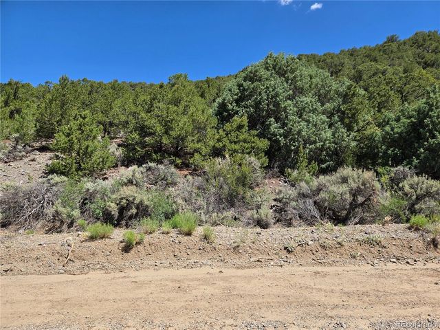 Lot 5046 Joy Road, Fort Garland, CO 81133