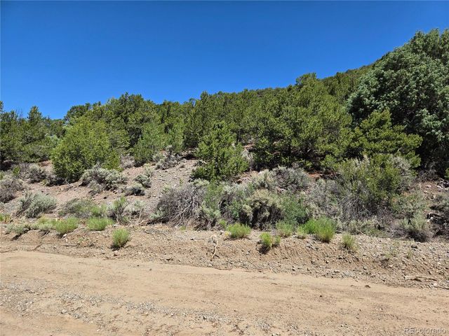 Lot 5046 Joy Road, Fort Garland, CO 81133