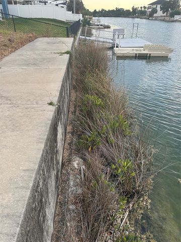 3377 OLEANDER DRIVE, Hernando Beach, FL 34607