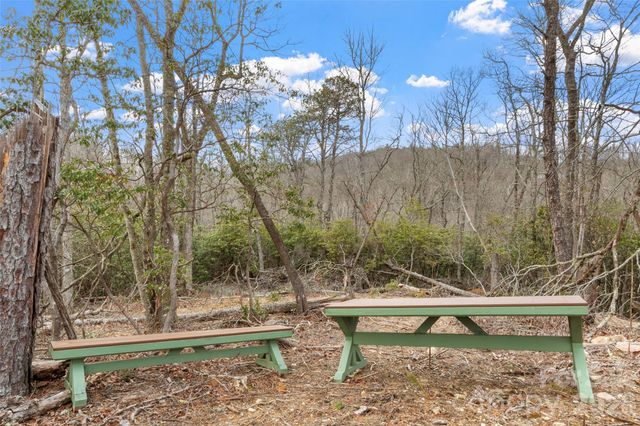 87 Trails End Road 28, Little Switzerland, NC 28749