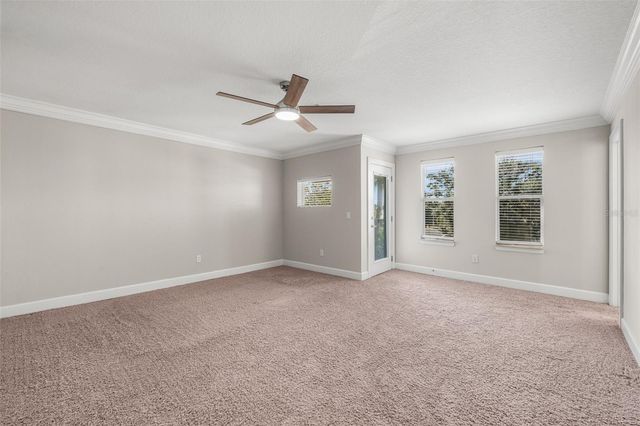 113 S NEWPORT AVENUE 1-4, Tampa, FL 33606