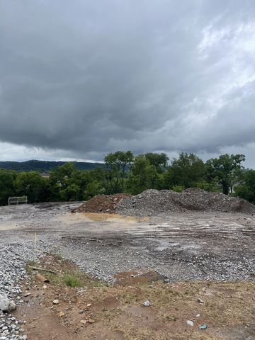 231 Berry Hunter Lane, Franklin, TN 37067