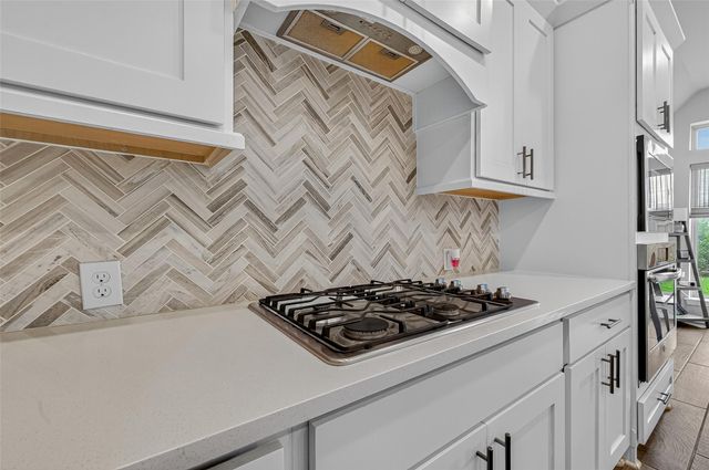 24263 Via Vitani Drive, Richmond, TX 77406