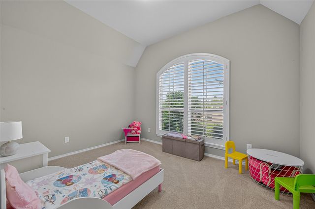 24263 Via Vitani Drive, Richmond, TX 77406