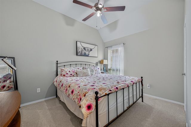 24263 Via Vitani Drive, Richmond, TX 77406