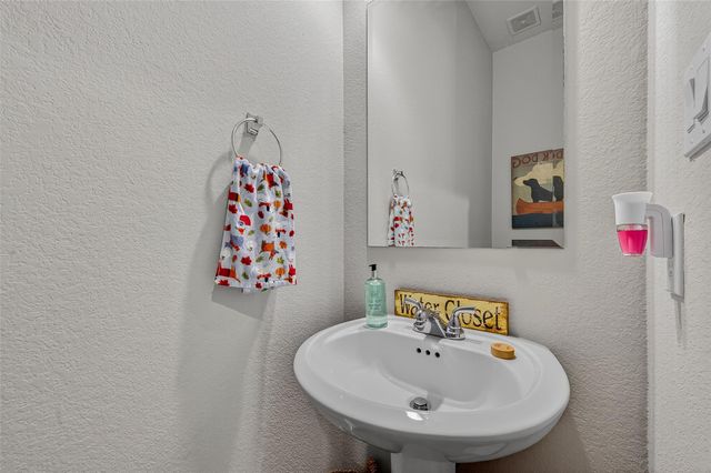 24263 Via Vitani Drive, Richmond, TX 77406