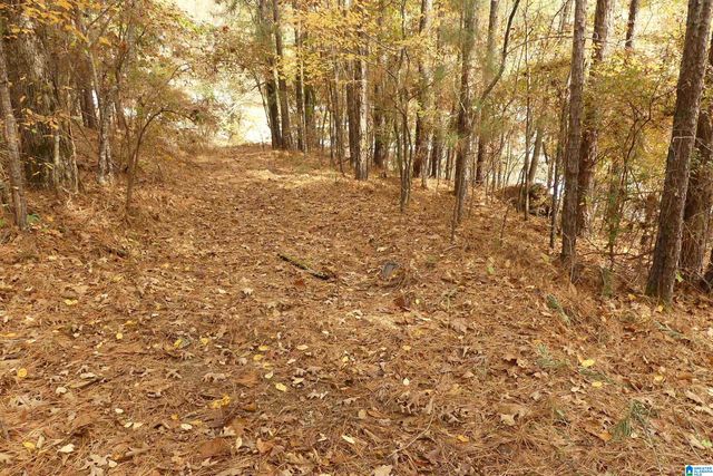Lot 42B HICKS BEND COURT, Wedowee, AL 36278