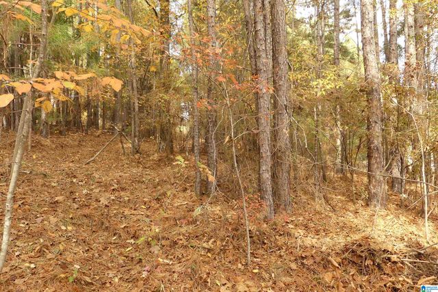 Lot 42B HICKS BEND COURT, Wedowee, AL 36278