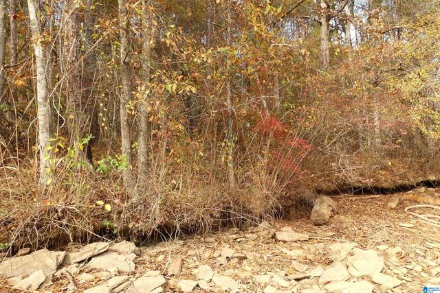 Lot 42B HICKS BEND COURT, Wedowee, AL 36278