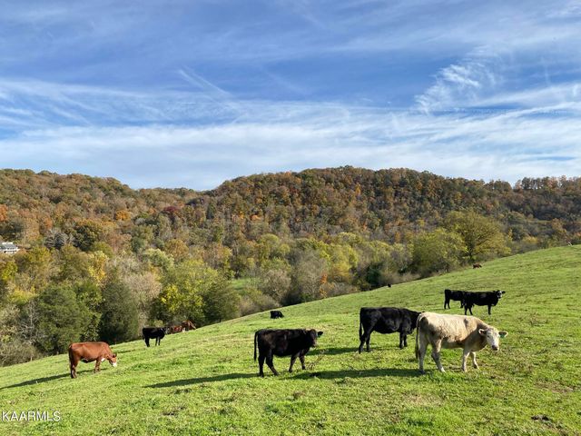 311 Ross Cemetery Rd, Rocky Top, TN 37769