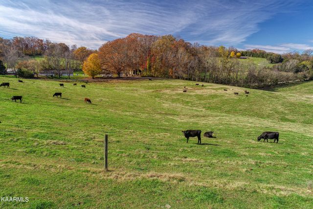 311 Ross Cemetery Rd, Rocky Top, TN 37769