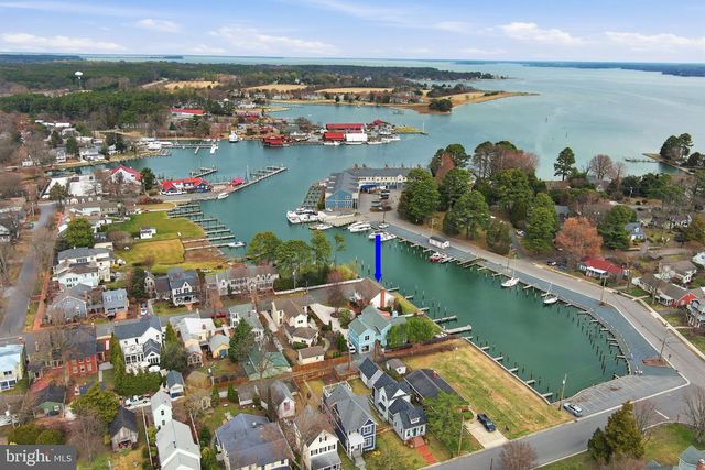 222 CHESTNUT, Saint Michaels, MD 21663