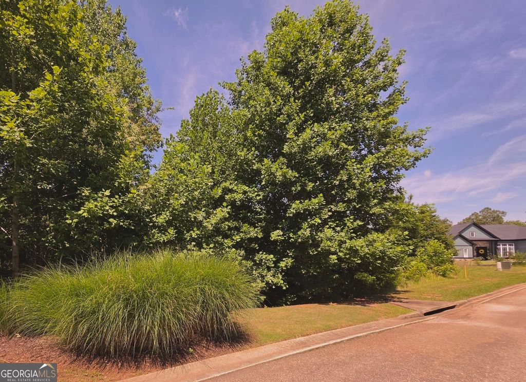155 Coneflower Lane, Toccoa, GA 30577 — exterior