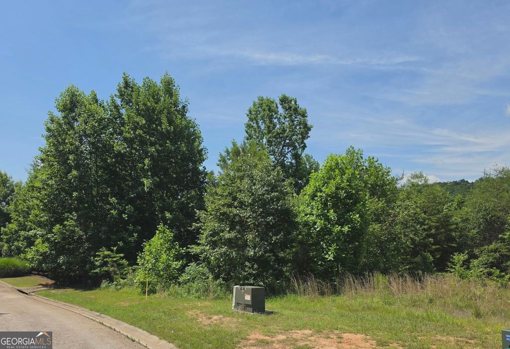 155 Coneflower Lane, Toccoa, GA 30577 — photo 2