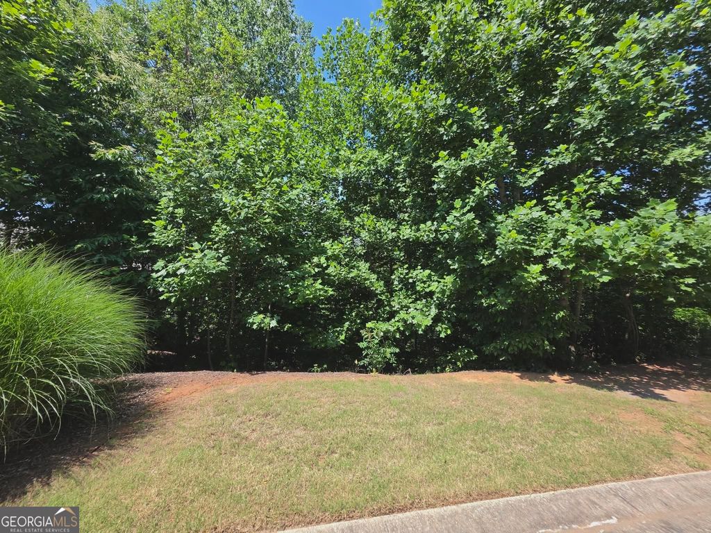 155 Coneflower Lane, Toccoa, GA 30577 — photo 3