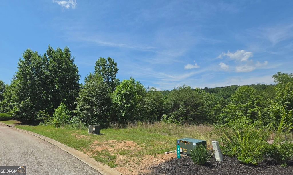 155 Coneflower Lane, Toccoa, GA 30577 — photo 4