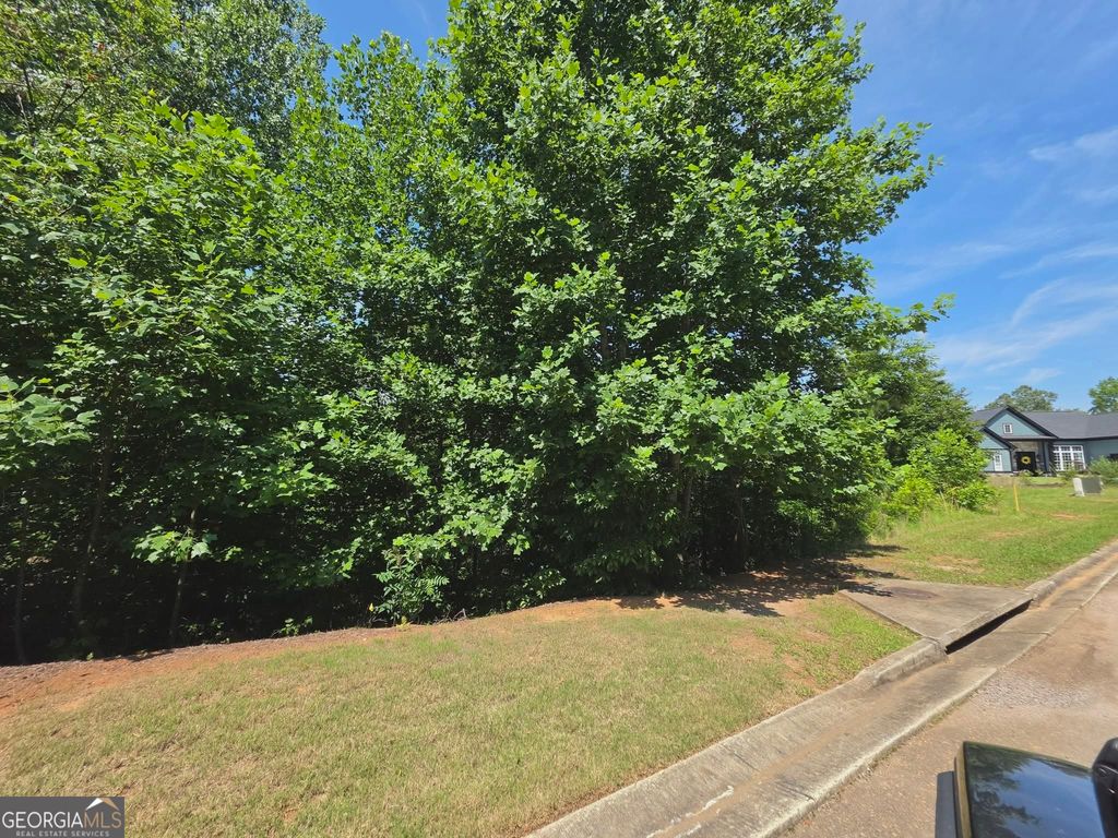 155 Coneflower Lane, Toccoa, GA 30577 — photo 5