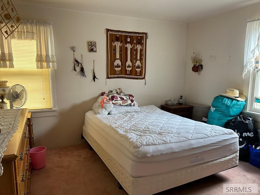 Image 20 of property listing at 2651 Challis Creek Road, Challis, ID 83226