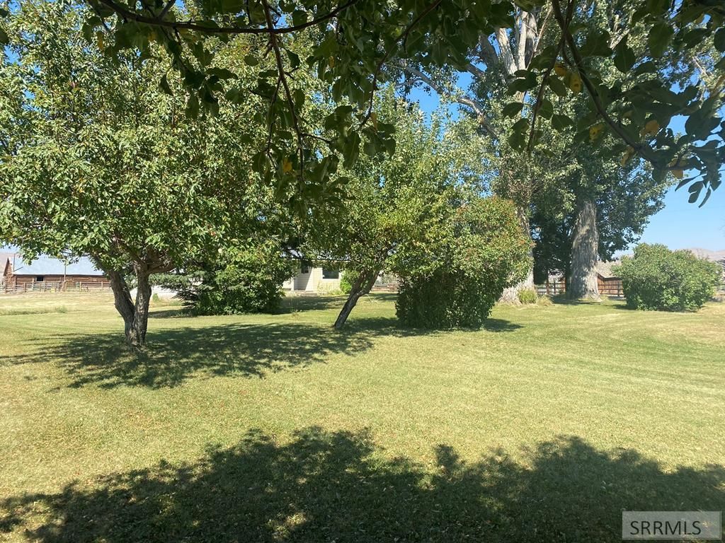 Image 60 of property listing at 2651 Challis Creek Road, Challis, ID 83226
