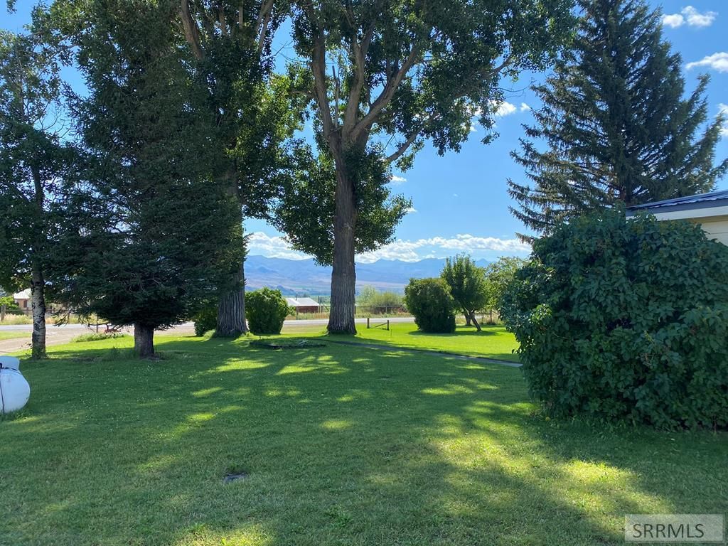 Image 7 of property listing at 2651 Challis Creek Road, Challis, ID 83226