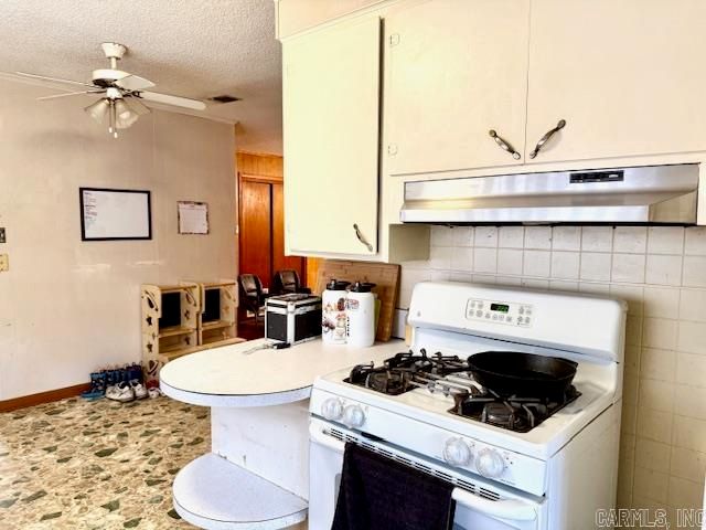 119 N 20th Street, Arkadelphia, AR 71923