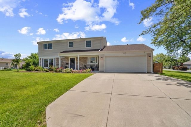 407 N Braintree Drive, Schaumburg, IL 60194