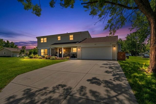 407 N Braintree Drive, Schaumburg, IL 60194