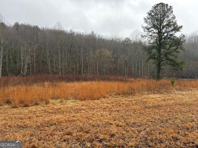 LOT 42 Whisper Woods Road, Hiawassee, GA 30546