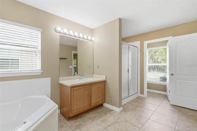 12230 COLONY LAKES BOULEVARD, New Port Richey, FL 34654