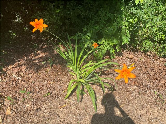 252 Riggs Drive, Clemson, SC 29631