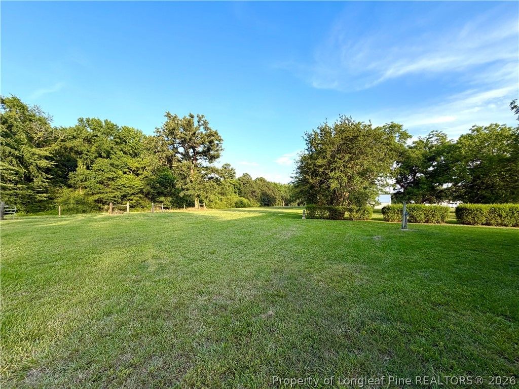 744 Patterson Road, Broadway, NC 27505 — photo 4