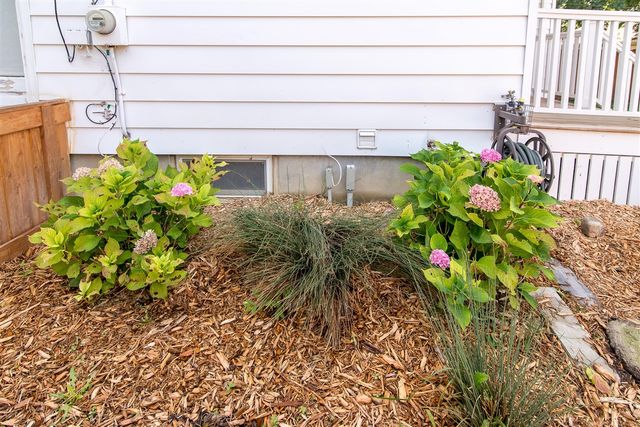 323 N Lewis Street, Saline, MI 48176