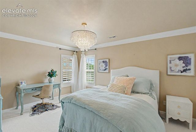 3734 Tuscanna Grove, Colorado Springs, CO 80920