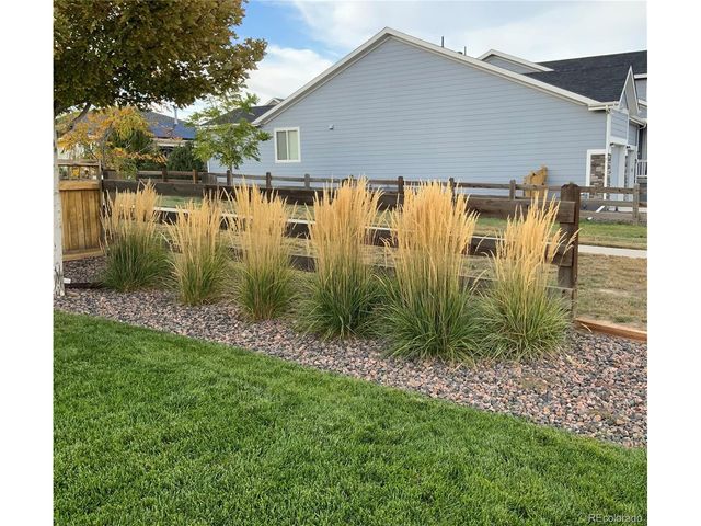 5569 Cherry Blossom Dr, Brighton, CO 80601