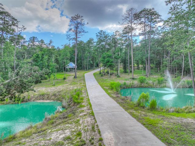 6855 W Fm 942, Livingston, TX 77351