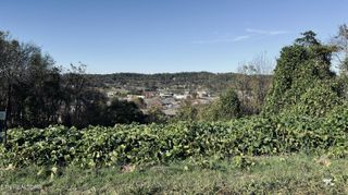 Lot 25 Chapman View Drive, Seymour, TN 37865